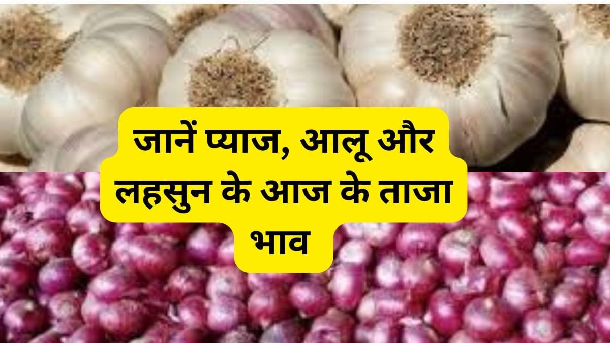 Onion Garlic Price