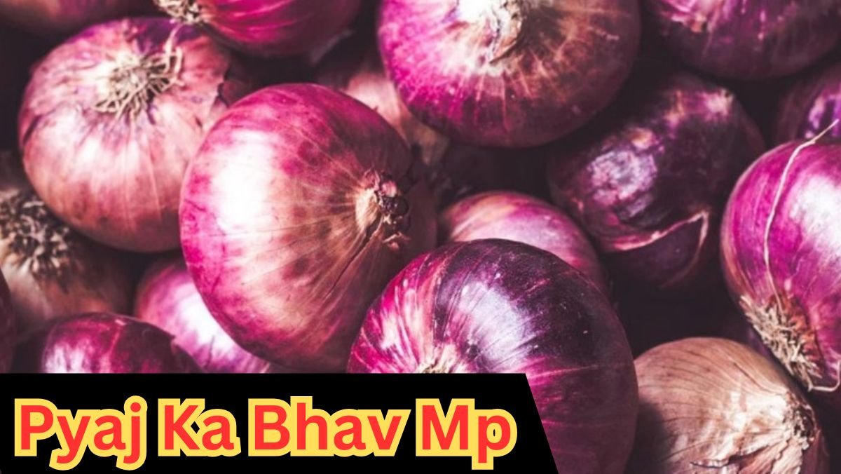 Pyaj Ka Bhav Mp