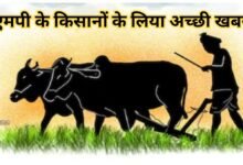 _kisaan news